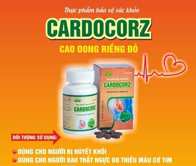Banner-Cardocorz.jpg